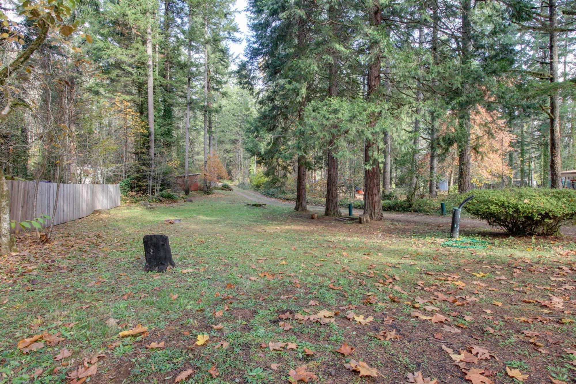 Peaceful Mckenzie River Retreat Fish, Hike, And Ski Vida Buitenkant foto